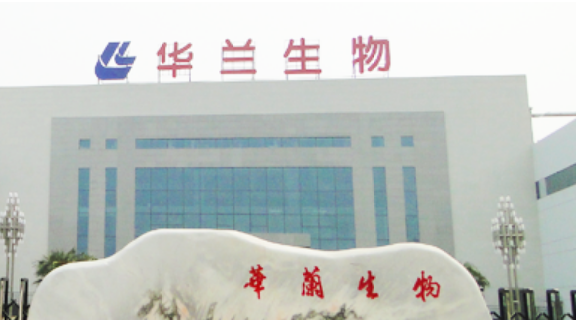 IPO,證監(jiān),輔導(dǎo),華蘭,備案,疫苗 華蘭疫苗已在河南證監(jiān)局 進(jìn)行IPO輔導(dǎo)備案