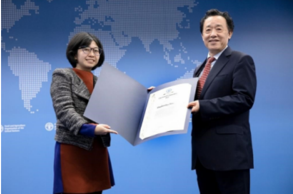 2022,聯(lián)合國糧農(nóng)組織,普惠,助力,多多,年度 助力農(nóng)業(yè)科技普惠，拼多多獲聯(lián)合國糧農(nóng)組織2022年度創(chuàng)新獎(jiǎng)