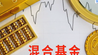 電鰻 電鰻號(hào)|創(chuàng)金合信基金李游誤判行情吃大虧