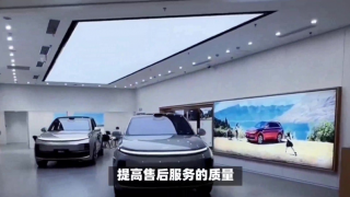 電鰻 電鰻號(hào)|逆風(fēng)飛翔，理想汽車引領(lǐng)未來(lái)之光
