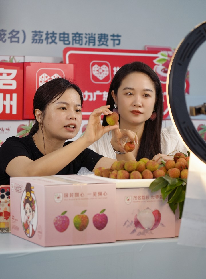 Q1,基本功,高質量,夯實,多多,深化 拼多多Q1深化高質量發展戰略：加大農業投入，進一步夯實平臺基本功