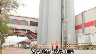 電鰻 電鰻號|百威亞太滑坡，酒企憑啥趕新潮？