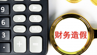 ST,九有,造假,已向,退市,終止 *ST九有因財(cái)務(wù)造假退市 交易所已向多家公司發(fā)出終止上市決定！